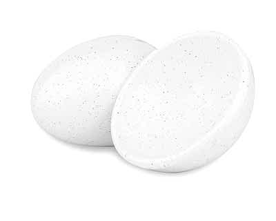 Terra Anatolia - BS206 White Echo - Terra Anatolia Fırça Sırı (200 ml)