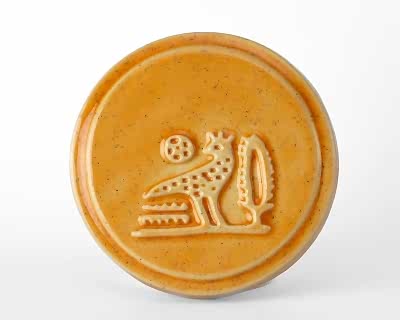 Terra Anatolia - BS216 Passion Fruit - Terra Anatolia Fırça Sırı (200 ml)