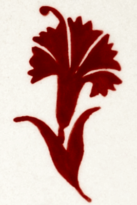  - U-325 Nar Çiçeği Kırmızı Çini Boyası