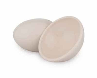 Terra Anatolia - PS008 Krem - Terra Anatolia Fırça Sırı (200 ml)