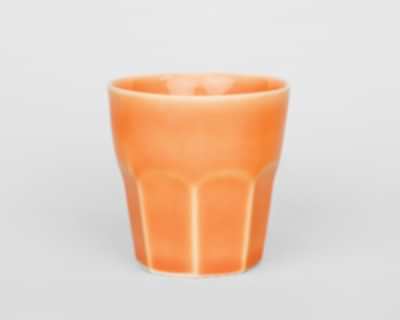 Terra Anatolia - YD-854 Apricot - Terra Anatolia Fırça Sırı (200 ml)